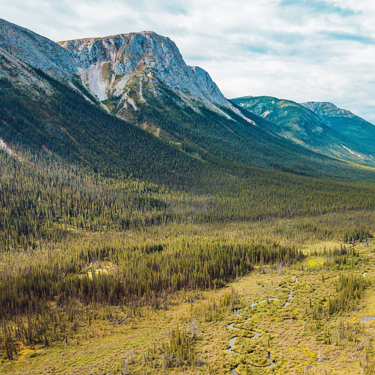 Maps milestones and machine learning - Boreal Mapping 04 