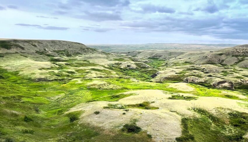 Alberta — Ducks Unlimited Canada