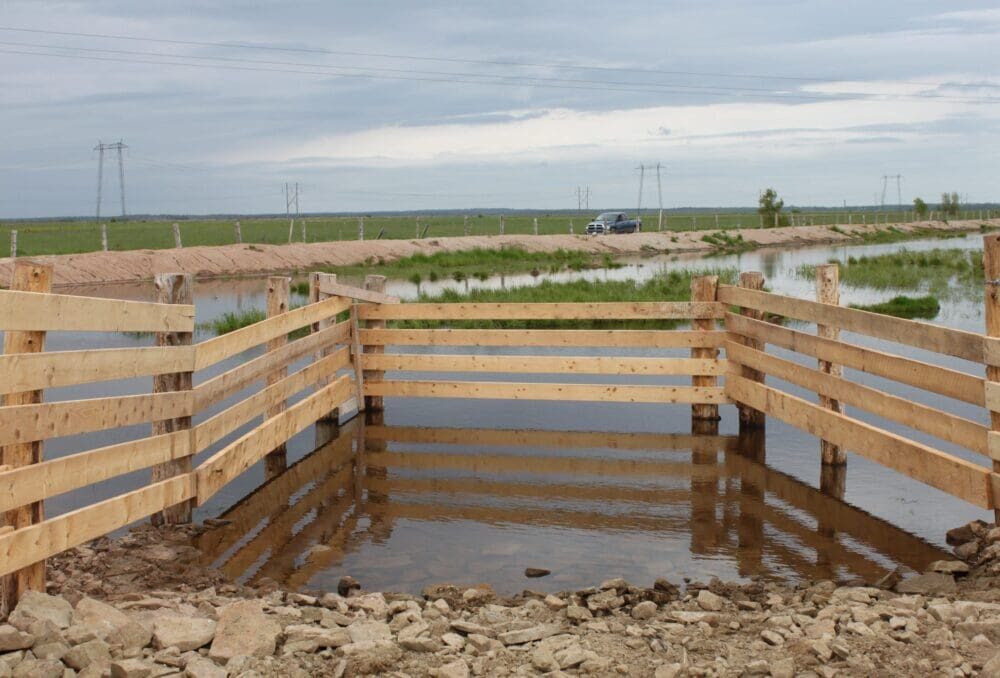 Tantramar Community Pasture: Newly restored watering pond with fencing to guide cattle