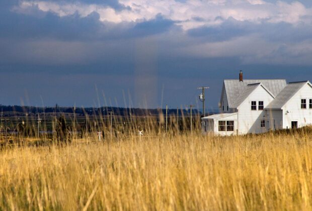 Explore Wetlands in New Brunswick