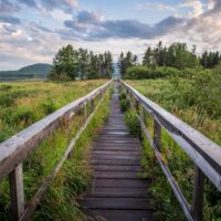 Explore Wetlands in Newfoundland & Labrador