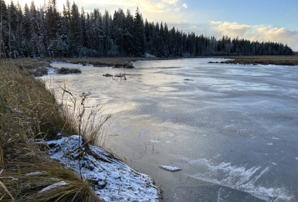 This stunning wetland, located north of Hearst, Ont. was the site of a rebuild that took place in late fall of 2023. It's an example of the rebuilds DUC carries out every year across the province.