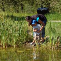 Explore Wetlands in Alberta