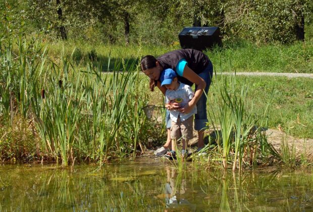 Explore Wetlands in Alberta