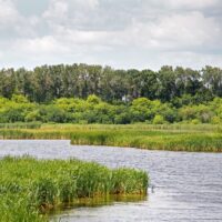 Explore Wetlands in Manitoba