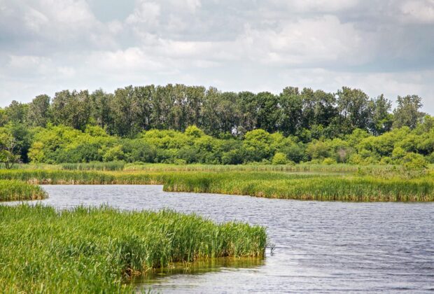 Explore Wetlands in Manitoba