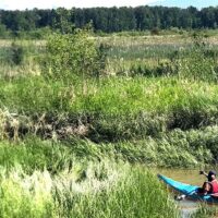 Explore Wetlands in British Columbia