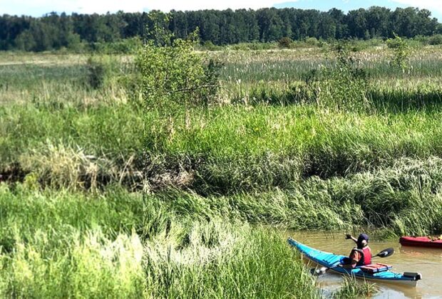 Explore Wetlands in British Columbia