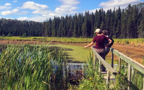 Explore Wetlands in Canada