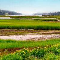 Explore Wetlands in Nova Scotia