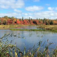 Explore Wetlands on Prince Edward Island