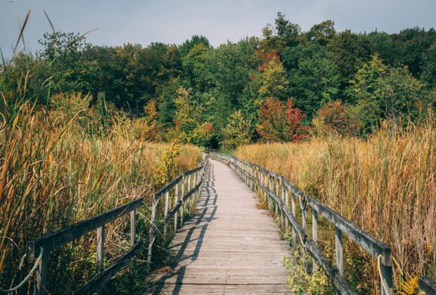 Explore Wetlands in Quebec