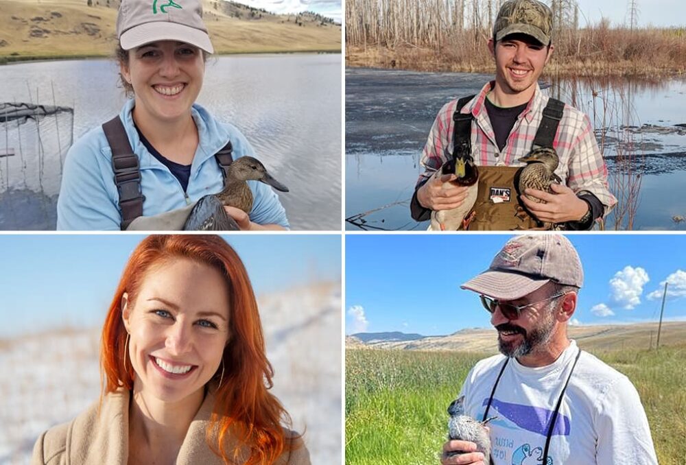 DUC conservation experts and scientists are converging at the North American Duck Symposium in Portland, February 2024, including presenters (clockwise, from top left): Kyla Bas, Matt Dyson, Bruce Harrison, Vanessa Harriman.