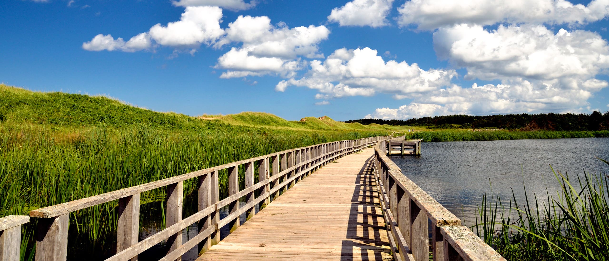 Conservation in Prince Edward Island — Ducks Unlimited Canada