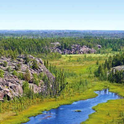 Boreal Forest