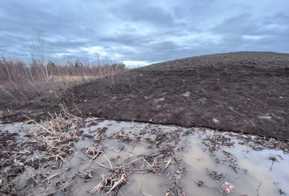 Wetland at work: Runoff captured by the wetland constructed at the Berry Mills snow dump facility. 