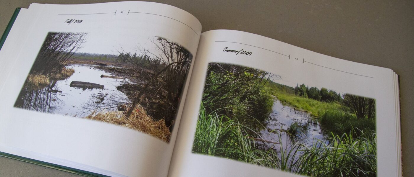 Before and after images of a restored wetland on land previously owned by Deshane.