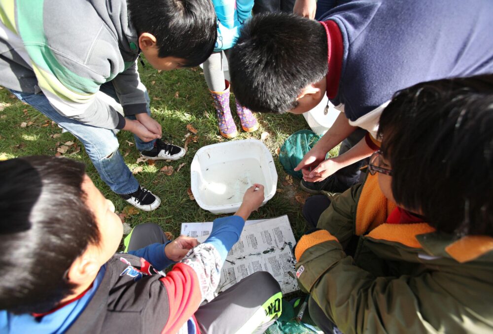 Children love to learn firsthand about aquatic invertebrates on field trips.