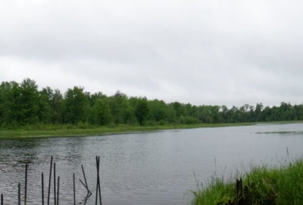 Land donation to Ducks Unlimited Canada protects critical wetland habitat corridor