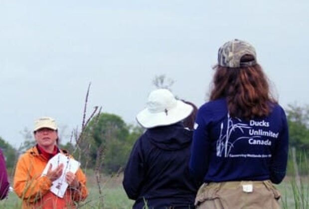 Celebrating the champions of conservation: National Volunteer Week with Ducks Unlimited Canada