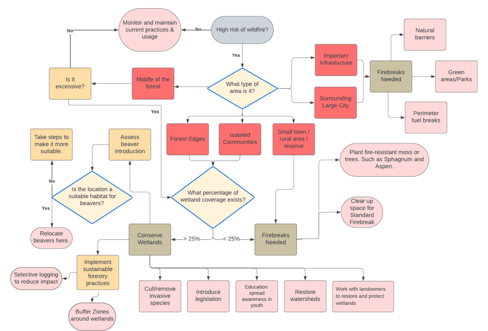 Wildfire management flow chart created by Hamza, Zaid and Haider
