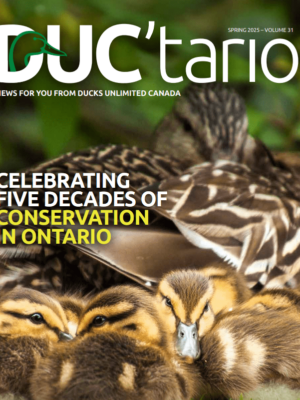 Ontario News from Ducks Unlimited Canada