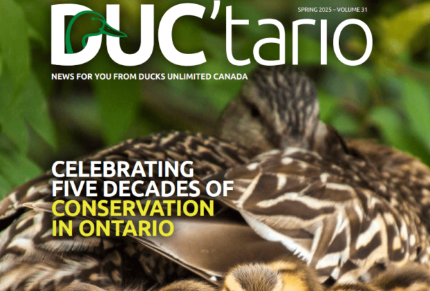 Ontario News from Ducks Unlimited Canada