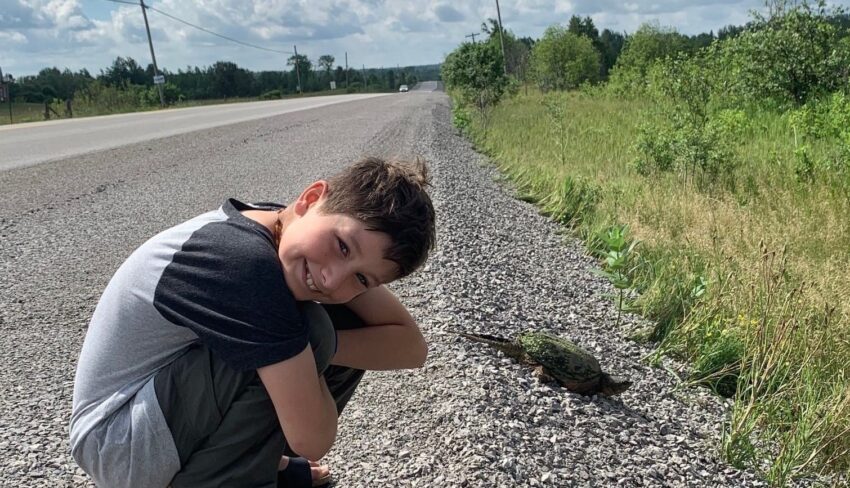 Five Magnificent Turtles That Need Your Help