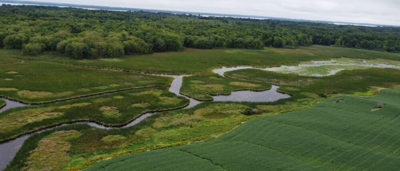 Seen from above, the Howe Island wetland is truly a marvel of nature.