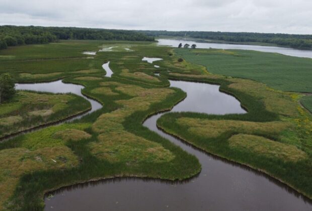 Fish and waterfowl flock to new habitat