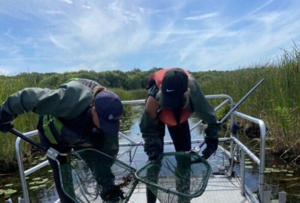 The fish monitoring team samples various fish species to determine whether the project has been a success. The findings have proven its success with new fish being discovered on site.