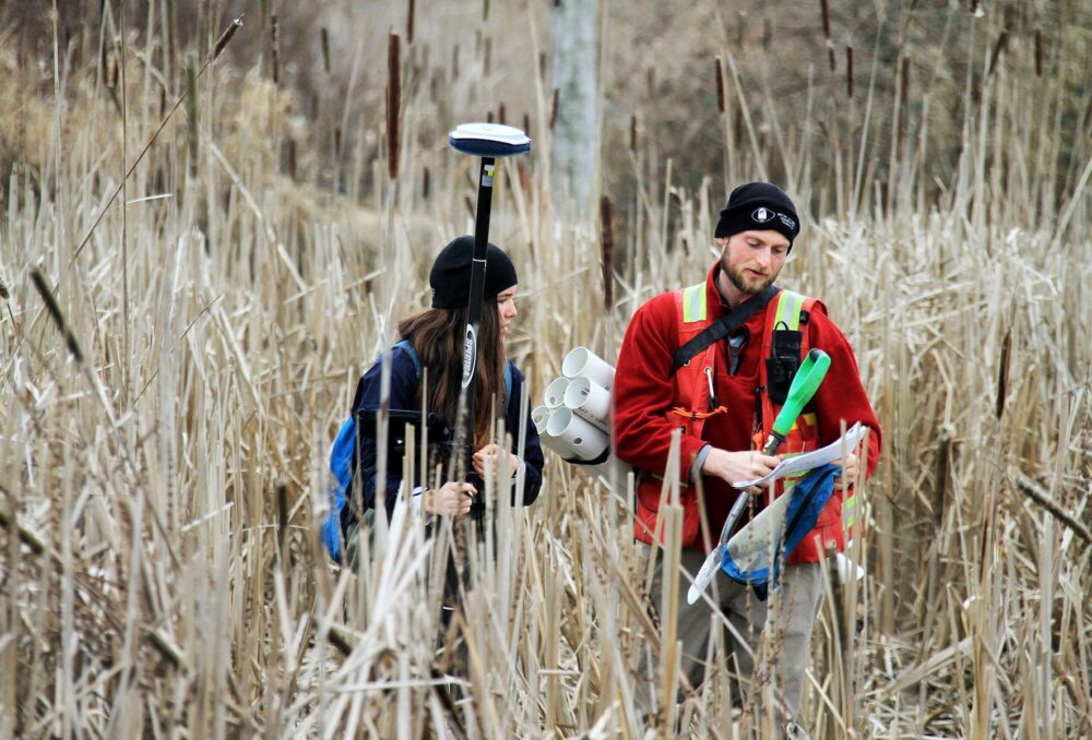 Two staff from Ducks Unlimited Canada survey Frenchies Island, working to understand invasive species in the area and developing management plans to combat their presence.