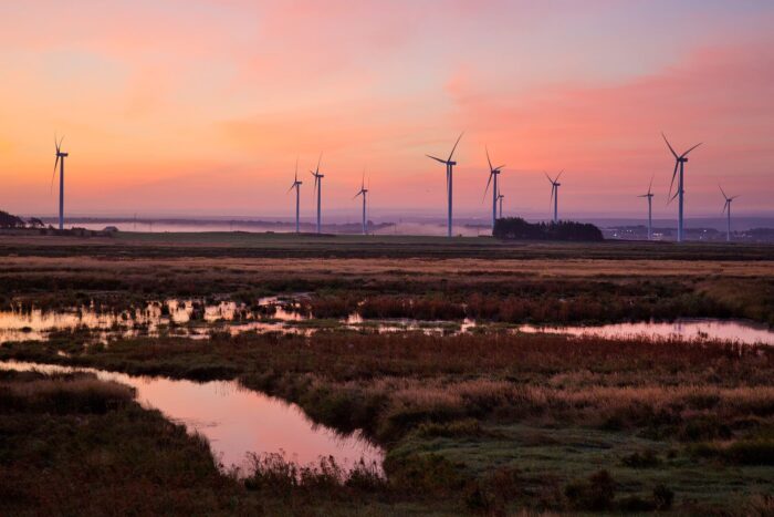 Salt marshes in the Chignecto Isthmus, a narrow, low-lying region that connects Nova Scotia and New Brunswick, help protect a vital transportation and trade corridor.