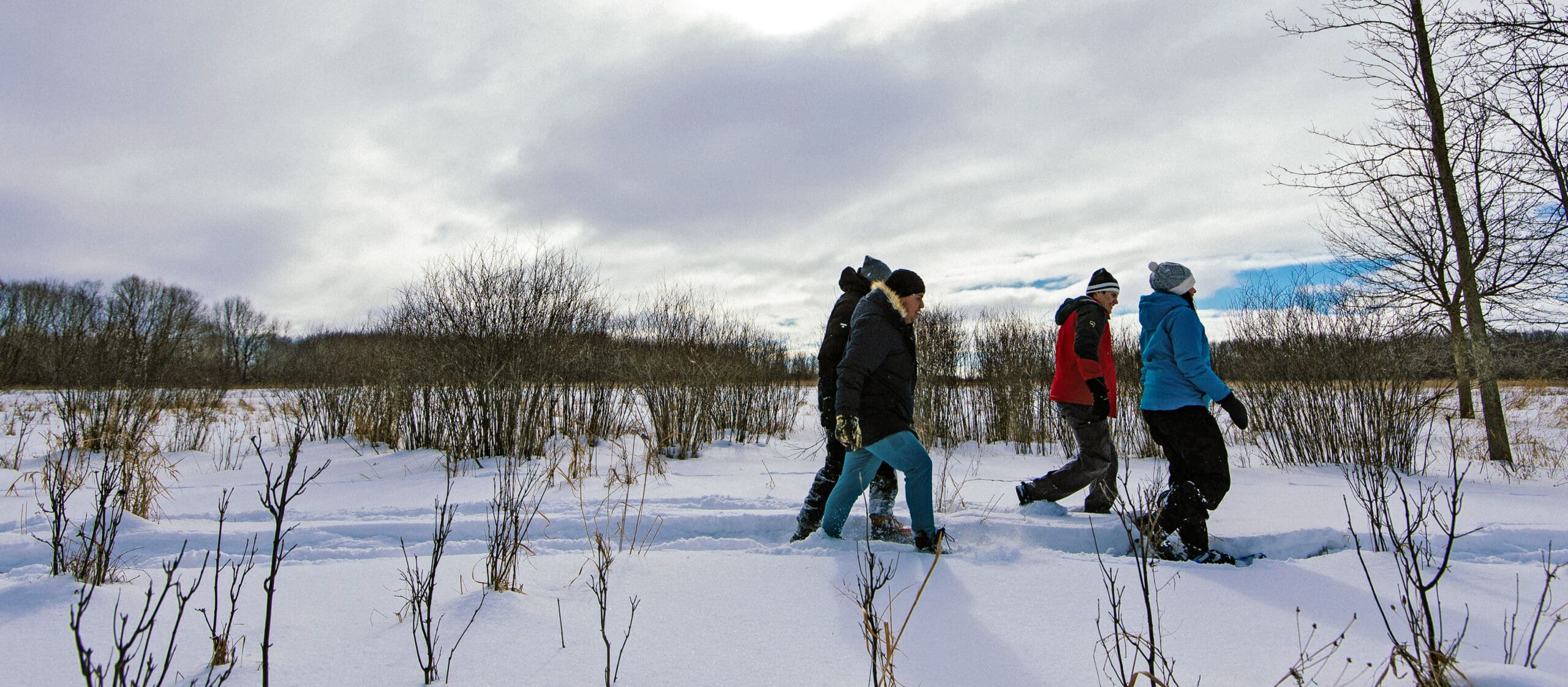 Four people showshoeing  at Hullett Marsh in Ontario.
