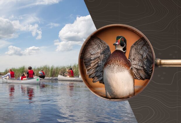 2024 Annual Report: Focused on the future