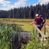 Wetland protection on public lands