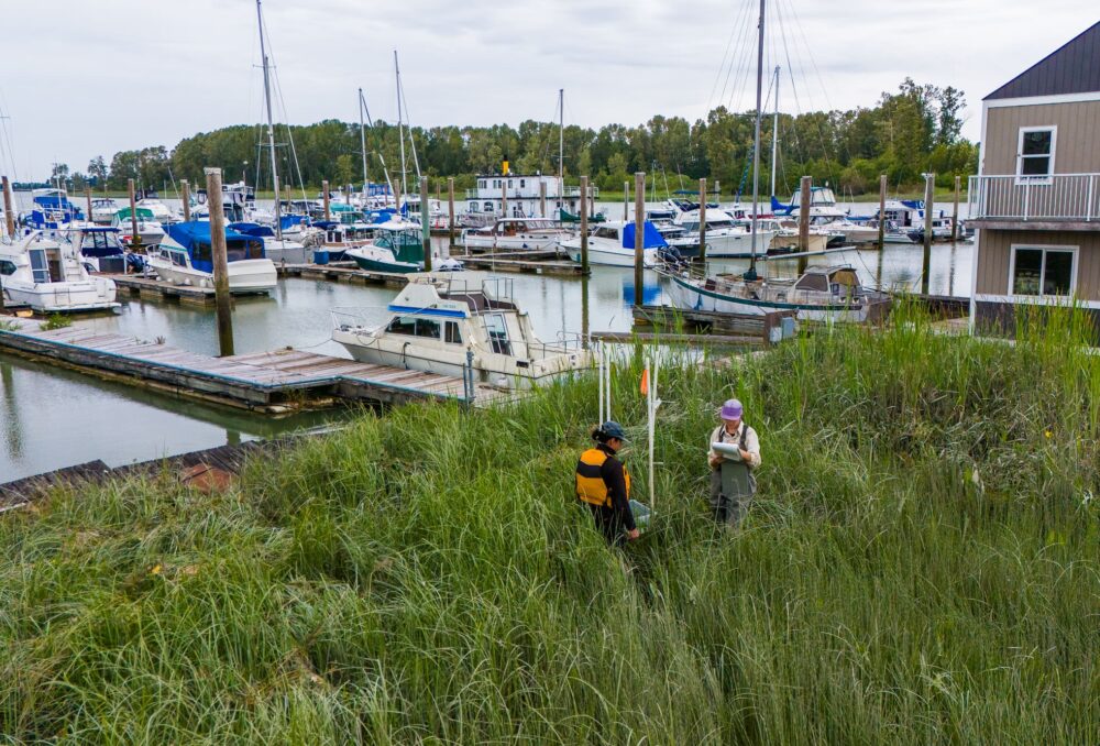 Biologists and field staff take readings at a monitoring station along the Fraser River Estuary
