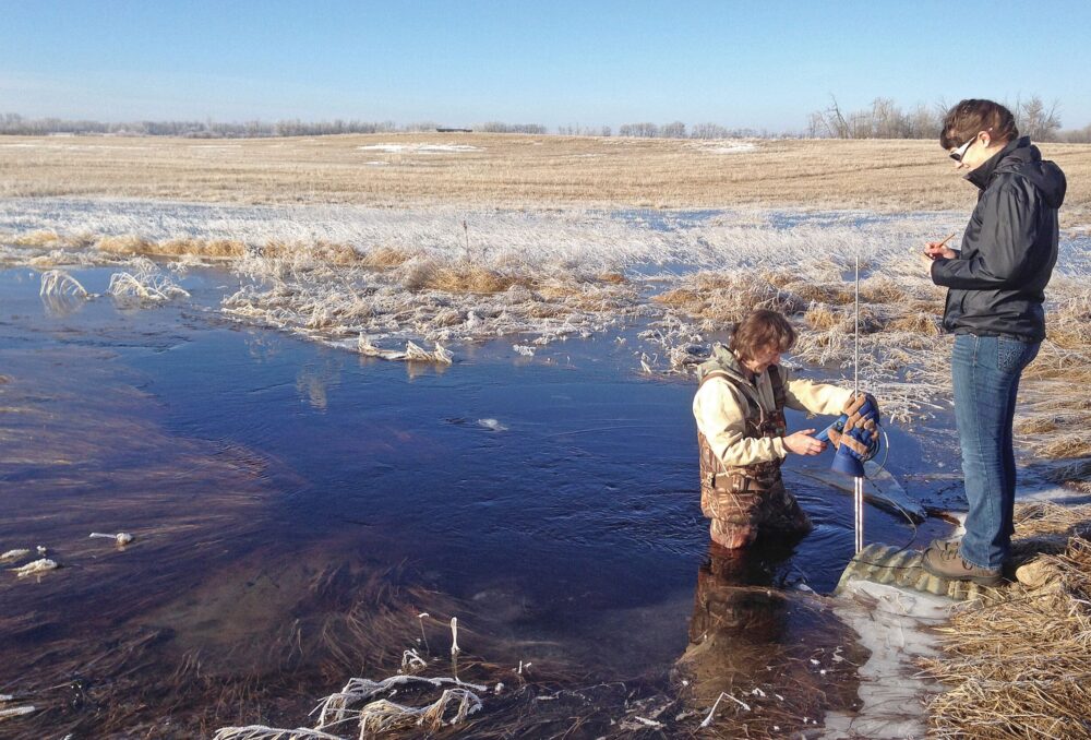DUC research scientist Pascal Badiou conducts spring water sampling in an Alberta wetland.