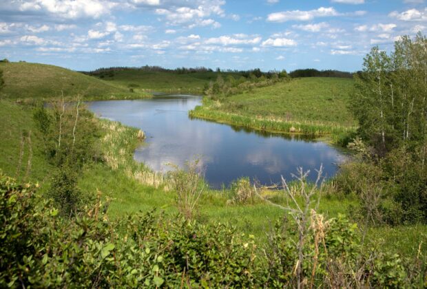 How wetlands help our groundwater on Alberta’s working landscapes