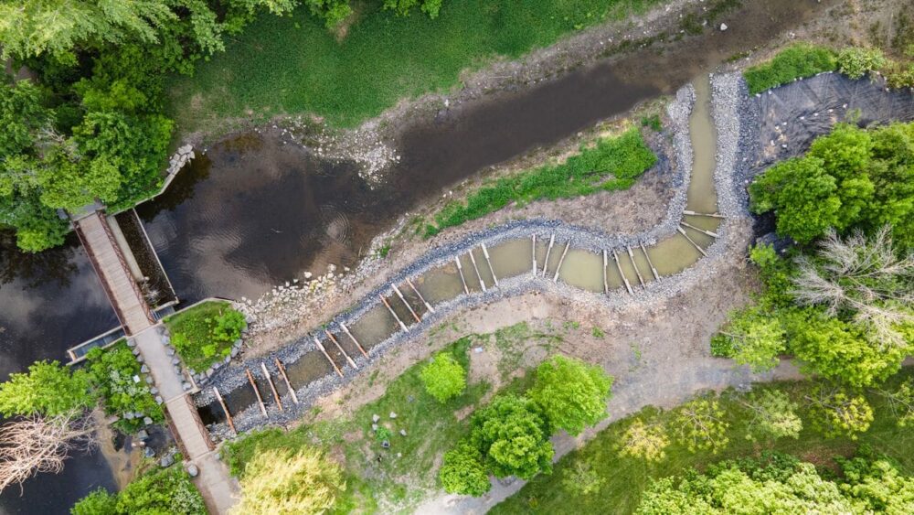 Major habitat revitalization in Boucherville’s Parc de la Frayère follows $1.5 million investment from Ducks Unlimited Canada and partners