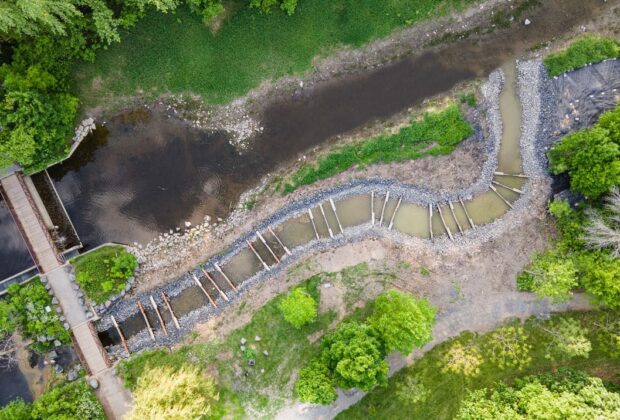 Major habitat revitalization in Boucherville’s Parc de la Frayère follows $1.5 million investment from Ducks Unlimited Canada and partners