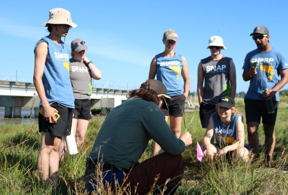 Students from SHaRP are given tips on how to identify spartina by DUC conservation specialist Richard Topp