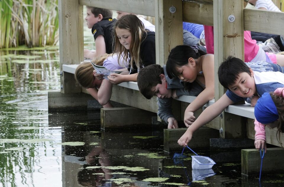 Kids critter dipping on boardwalk