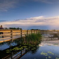 Your wetland views