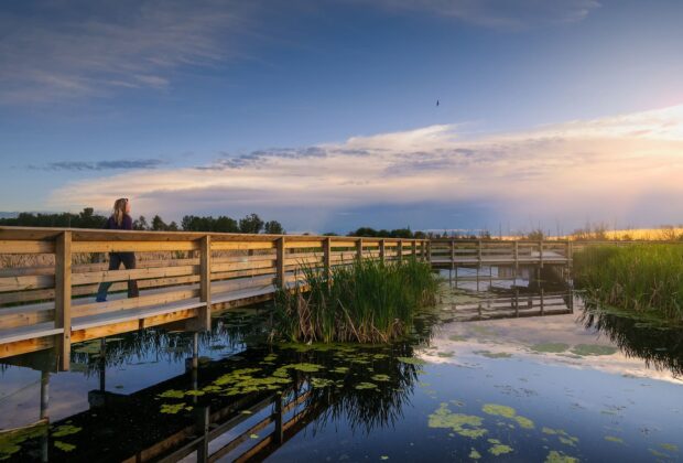 Your wetland views