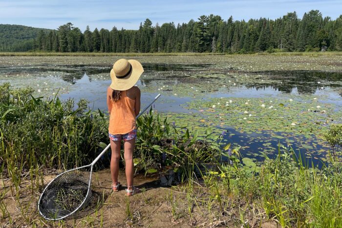 This is right by our cottage, where my daughter loves to play, fish and catch and release frogs.