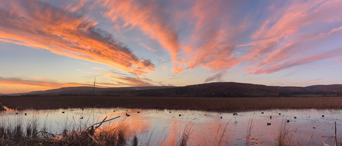 Gorgeous sunset while duck hunting at the DU marsh in Riverside-Albert!