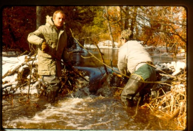 Five decades of conservation in Ontario