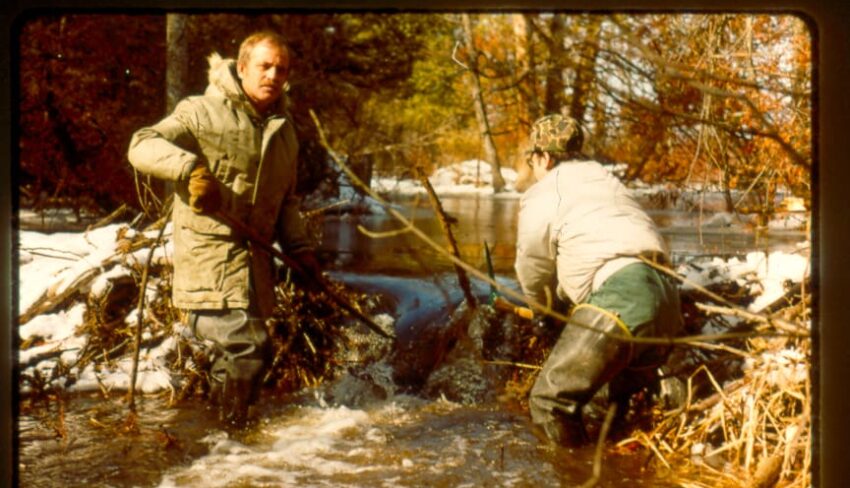 Five decades of conservation in Ontario
