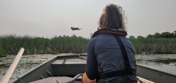 Monitoring phragmites via aerial footage 